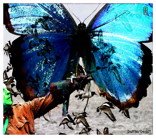 Cartoon: butterbeast (medium) by edda von sinnen tagged dream,walter,andi,zenf,zensenf,zenundsenf,traum,butterfly,surreal,falkner,adler,schmetterling,mutation,eagle,edda,von,sinnen