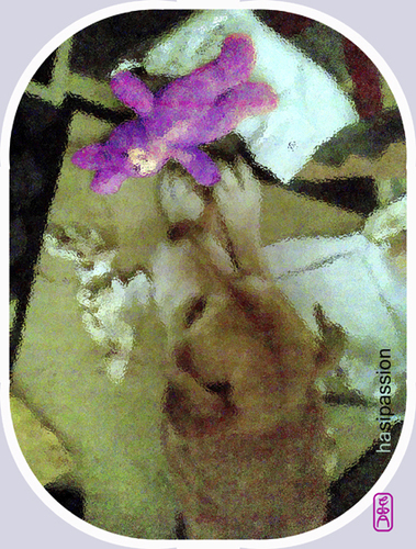 Cartoon: Hasipassion (medium) by edda von sinnen tagged hase,rabbit,ostern,easter,passion,edda,von,sinnen