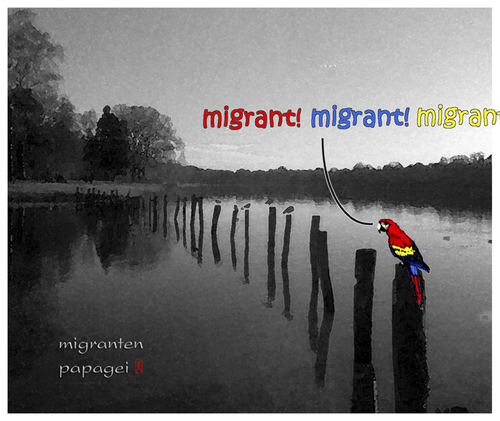 Cartoon: papageimigrant (medium) by edda von sinnen tagged andi,zenf,zensenf,zenundsenf,einwanderung,migrant,papagei,walter,edda,von,sinnen