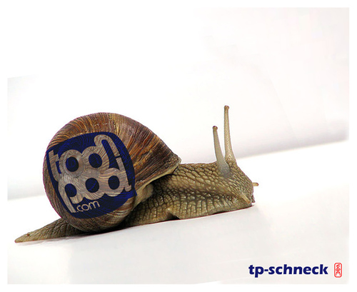 Cartoon: tp-Schneck (medium) by edda von sinnen tagged toonpool,cartoon,sinnen,von,edda,illustration,bitte,hoffnung,spur,langsam,schnecke