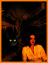 Cartoon: pumpkin dreams - Kürbis Träume (small) by edda von sinnen tagged pumpkin helloween kürbis mucki traum beauty edda von sinnen