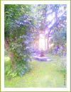 Cartoon: sheila im licht (small) by edda von sinnen tagged sheila,licht,garten,edda,von,sinnen