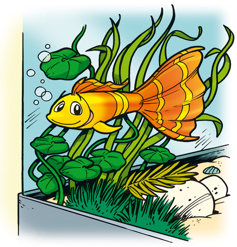 Cartoon: Guppy (medium) by Comiczeichner tagged guppy,fisch,aquarium