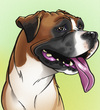 Cartoon: Charlie the Boxer (small) by nolanium tagged dog caricature boxer nolan harris nolanium