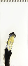 Cartoon: Tom Waits (small) by morurit tagged tom,waits,music