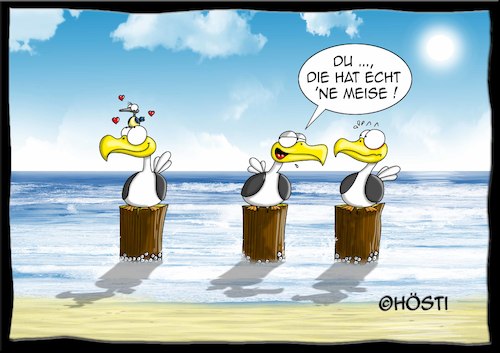 Cartoon: Höstis Emma und Konsorten (medium) by Hösti tagged hösti,cartoons,hoesti,stephan,höstermann,emma,und,konsorten,möwe