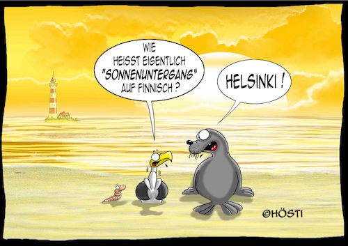 Cartoon: Höstis Emma und Konsorten (medium) by Hösti tagged hösti,cartoons,hoesti,stephan,höstermann,emma,und,konsorten,möwe