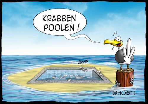 Cartoon: Höstis Emma und Konsorten (medium) by Hösti tagged hösti,cartoons,hoesti,stephan,höstermann,emma,und,konsorten,möwe