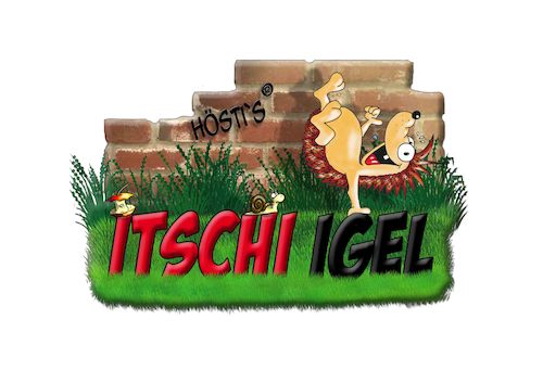 Cartoon: Höstis Ischi Igel (medium) by Hösti tagged hösti,cartoons,hoesti,stephan,höstermann,itschi,igel