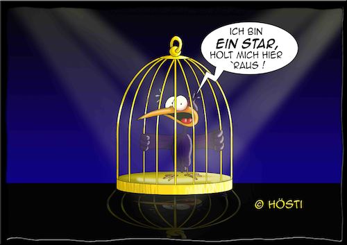 Cartoon: Höstis Vögelkunde (medium) by Hösti tagged hösti,cartoons,hoesti,stephan,höstermann,vögel,vogel,ornithologie,vögelkunde