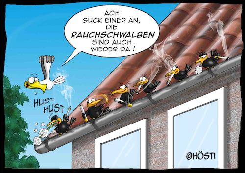 Cartoon: Höstis Vögelkunde (medium) by Hösti tagged hösti,cartoons,hoesti,stephan,höstermann,vögel,vogel,ornithologie,vögelkunde