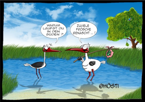 Cartoon: Höstis Vögelkunde (medium) by Hösti tagged hösti,cartoons,hoesti,stephan,höstermann,vögel,vogel,ornithologie,vögelkunde