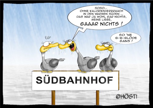 Cartoon: Höstis Vögelkunde (medium) by Hösti tagged hösti,cartoons,hoesti,stephan,höstermann,vögel,vogel,ornithologie,vögelkunde