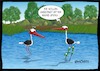 Cartoon: Höstis Vögelkunde (small) by Hösti tagged hösti,cartoons,hoesti,stephan,höstermann,vögel,vogel,ornithologie,vögelkunde