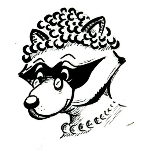 Cartoon: toon_racoon Oma (medium) by Stoefff tagged racoon,waschbär,