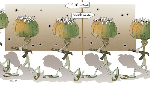 Cartoon: opium poppy cultivation to North (medium) by Shahid Atiq tagged afghanistan,north