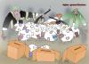 Cartoon: Afghanistan Election (small) by Shahid Atiq tagged 051