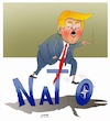 Cartoon: Trump will trash the expired NAT (small) by Shahid Atiq tagged afghanistan nato bahar hiba rahio