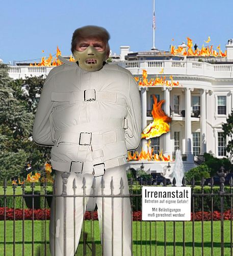 Cartoon: Irrenanstalt (medium) by heschmand tagged usa,trump,amerika,first,irrenanstalt