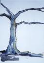 Cartoon: blue tree (small) by gianlucasanvido tagged tree,