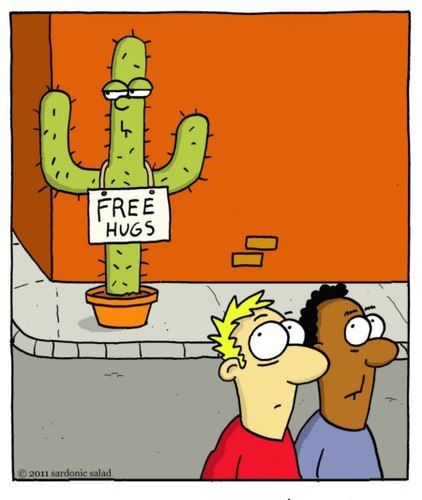 Cartoon: FREE HUGS (medium) by sardonic salad tagged hugs,free,salad,sardonic,comic,cartoon,cactus
