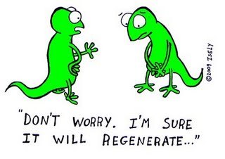 Cartoon: lizard trouble (medium) by sardonic salad tagged lizard,cartoon,sardonic,salad