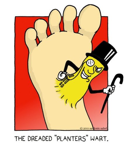 Cartoon: planters wart... (medium) by sardonic salad tagged foot,wart,plantar,peanut,mr,salad,sardonic,comic,cartoon