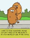 Cartoon: spud love 2 (small) by sardonic salad tagged potato,cartoon,sardonic,salad,love