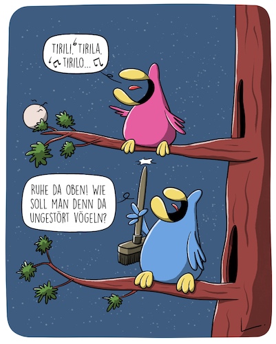 Vogelgesang Vogelgesang