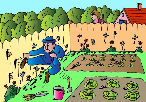 Cartoon: Attacking Snails (medium) by Alexei Talimonov tagged garden,snails