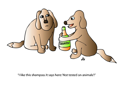 Cartoon: Shampoo (medium) by Alexei Talimonov tagged shampoo,animals