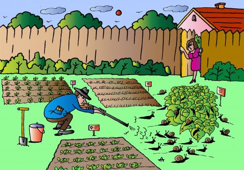 Cartoon: Snail Attack (medium) by Alexei Talimonov tagged garden,snails,salad