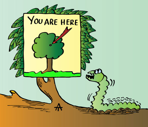 Cartoon: You are here (medium) by Alexei Talimonov tagged position