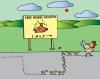 Cartoon: Free Range Chicken (small) by Alexei Talimonov tagged free,range,chicken