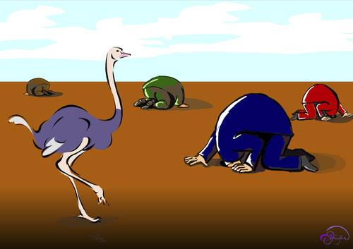 Cartoon: Bird Flu (medium) by duygu saracoglu tagged bird,flu