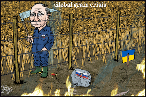 global grain crisis