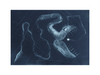Cartoon: insanity (small) by Hentamten tagged insane,fish
