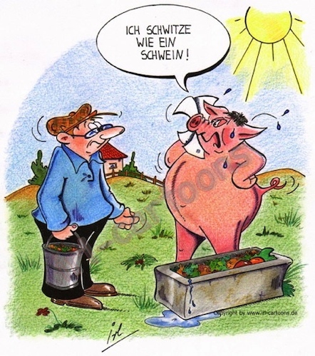 Cartoon: Hitzewelle (medium) by irlcartoons tagged hitzewelle,sommer,schwein,schwitzen,bauer,hitze,wetter,rekordjahr,trockenheit,temperatur,klimawandel,hochdruckgebiet,europa,warmluft,dürre,juli,august,sau,sonne,sonnenschein