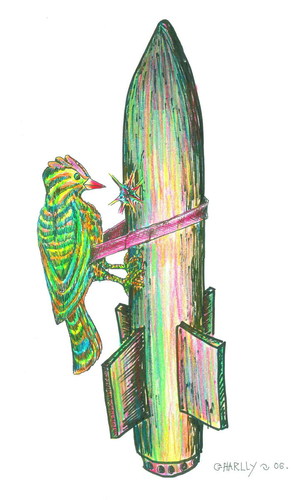 Cartoon: woodpecker (medium) by charlly tagged woodpecker