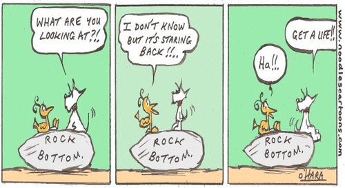 Cartoon: friend or foe!.. (medium) by noodles cartoons tagged hamish,scotty,dog,bird,glastonbury