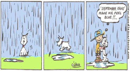 Cartoon: September!. (medium) by noodles cartoons tagged hamish,scotty,dog,weather,rain,cartoon,season