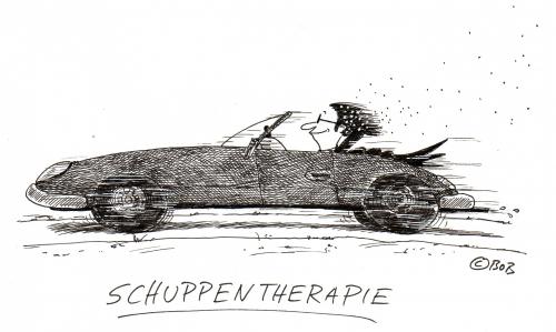 Cartoon: Soo einfach geht das! (medium) by Christian BOB Born tagged highspeed,therapie,schuppen,gesundheit,therapie,sportwagen,auto,fahrer,autofahrer,geschwindigkeit,krankheit,leiden,patient,hilfe,abhilfe,rezept,verschreibung,shampoo