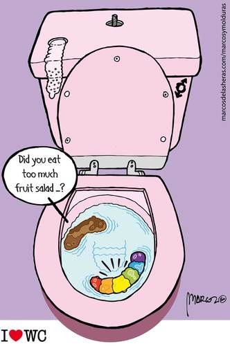 Cartoon: Talks shit Gay Pride Week (medium) by marcosymolduras tagged bowl,wc,talks,gaypride,shit