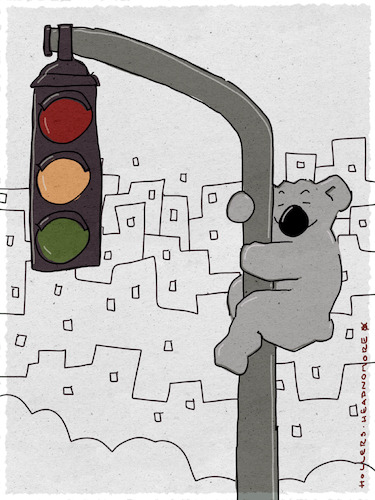 Ampelkoala Olaf Ampelkoala Olaf