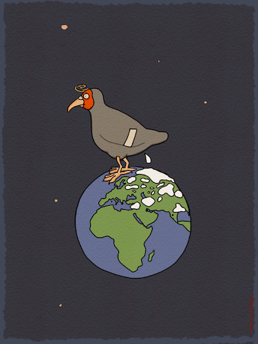 Dove Dove