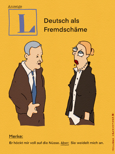 Langenscheidt Langenscheidt