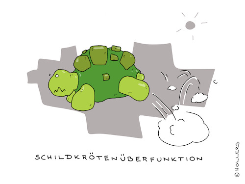 Schildkrötenüberfunktion