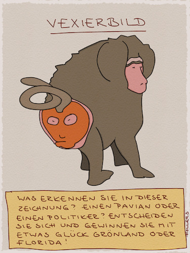 Vexierbild Vexierbild