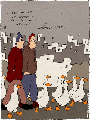 Zugvögel Zugvögel