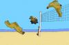 Cartoon: Beach bunnies (small) by hollers tagged beach,bunnies,strand,hasen